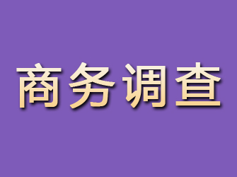 镇安商务调查